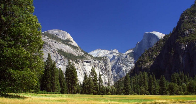 yosemite-meadows